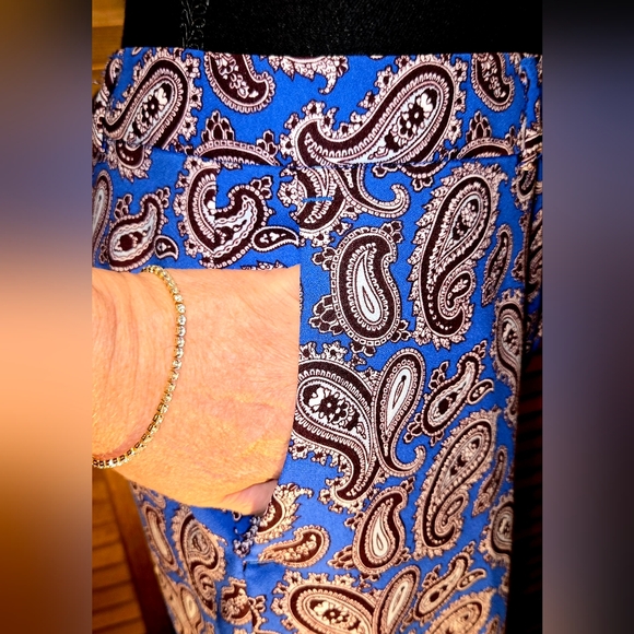 12P, Banana Republic Avery pants featuring a blue paisley print. - Picture 6 of 12